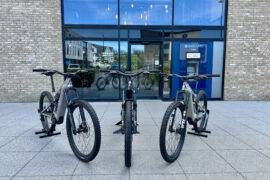 Specialized Levo