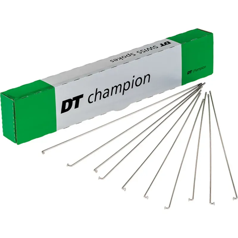 DT Swiss Champion 100-pack Silver Spokes - 2x254mm