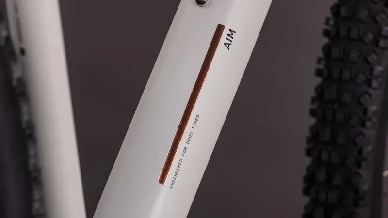 Cube Aim Pro Mountain Bike in Greige/Titan-3