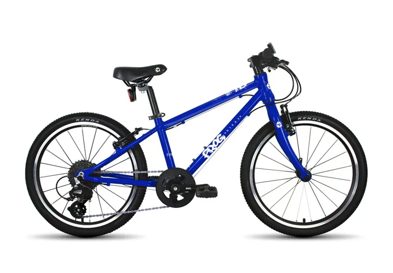 Frog 53 in Electric Blue